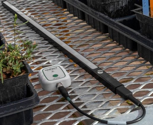 AT-100 Logger mit PAR-Liniensensor PQ-350