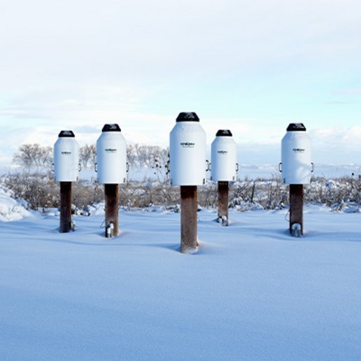 Cloudburst-Sensoren - wiegende Niederschlagssensoren im Winter